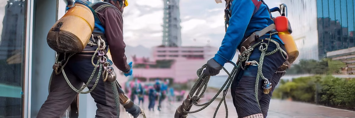 alsum entorno saludable